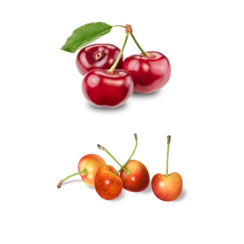 cherries